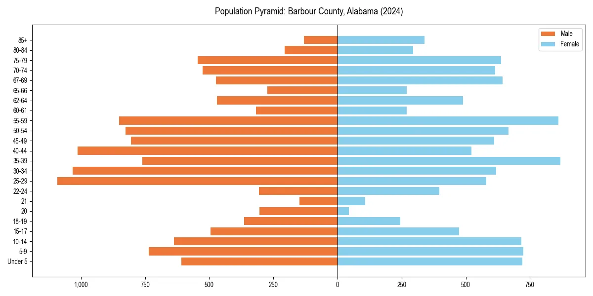 Population pyramid for 