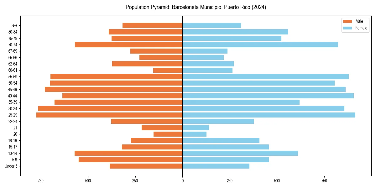 Population pyramid for 