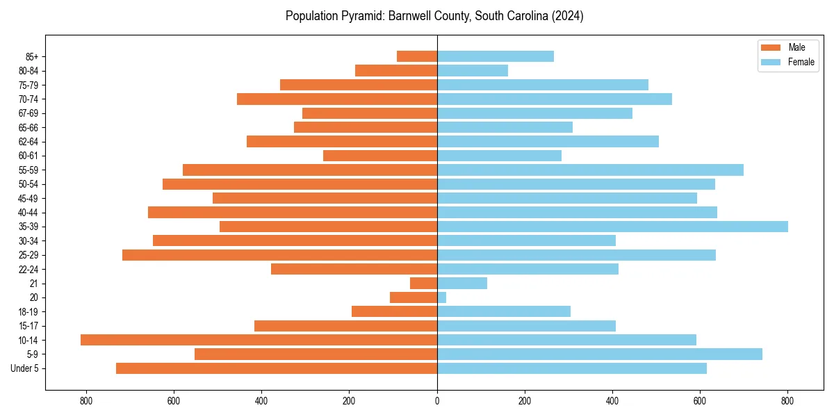 Population pyramid for 