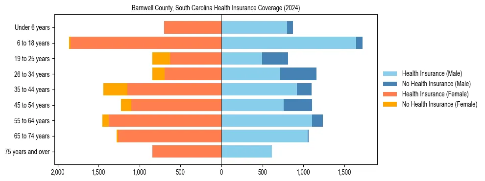 Health insurance pyramid for Barnwell County, South Carolina