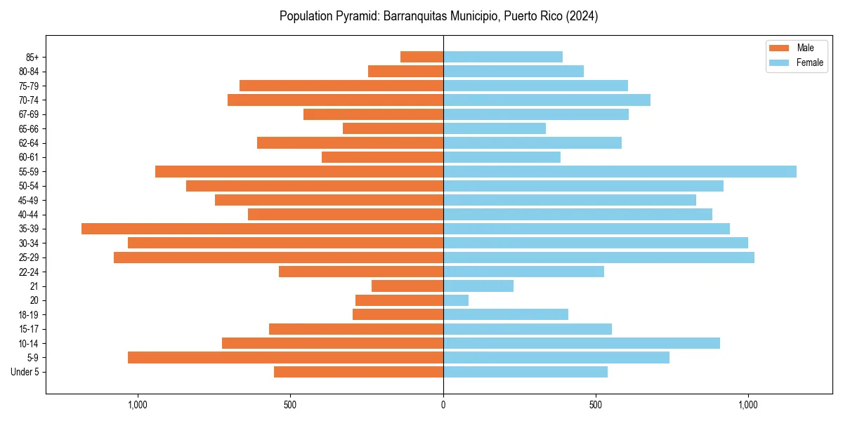 Population pyramid for 