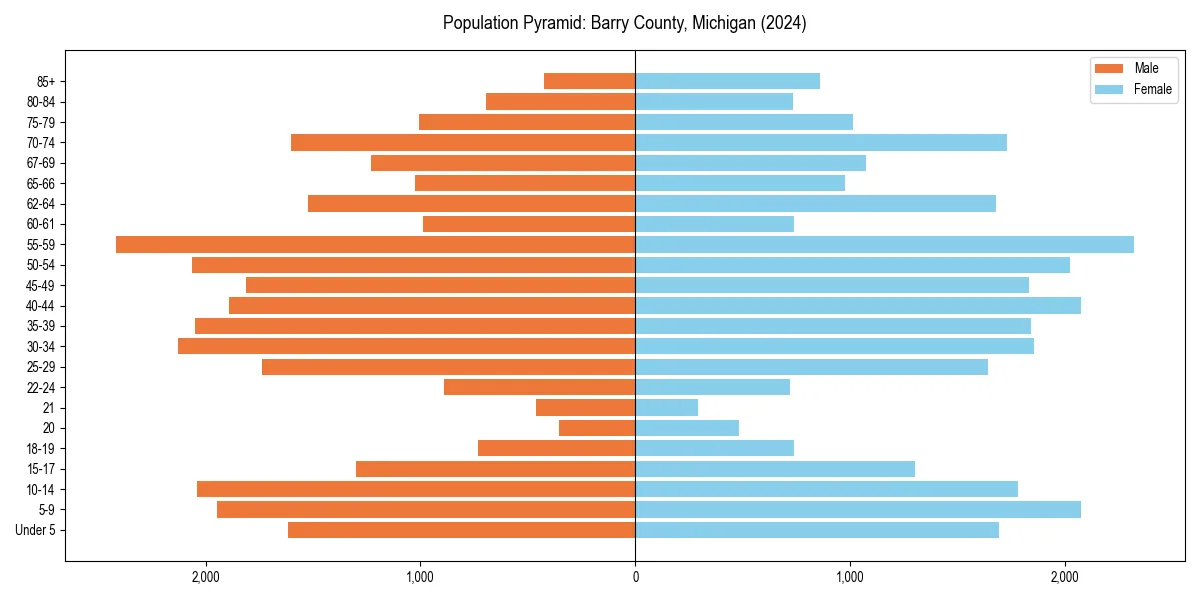 Population pyramid for 