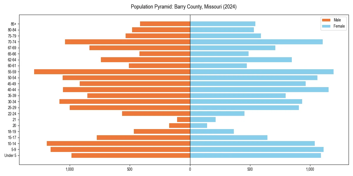Population pyramid for 