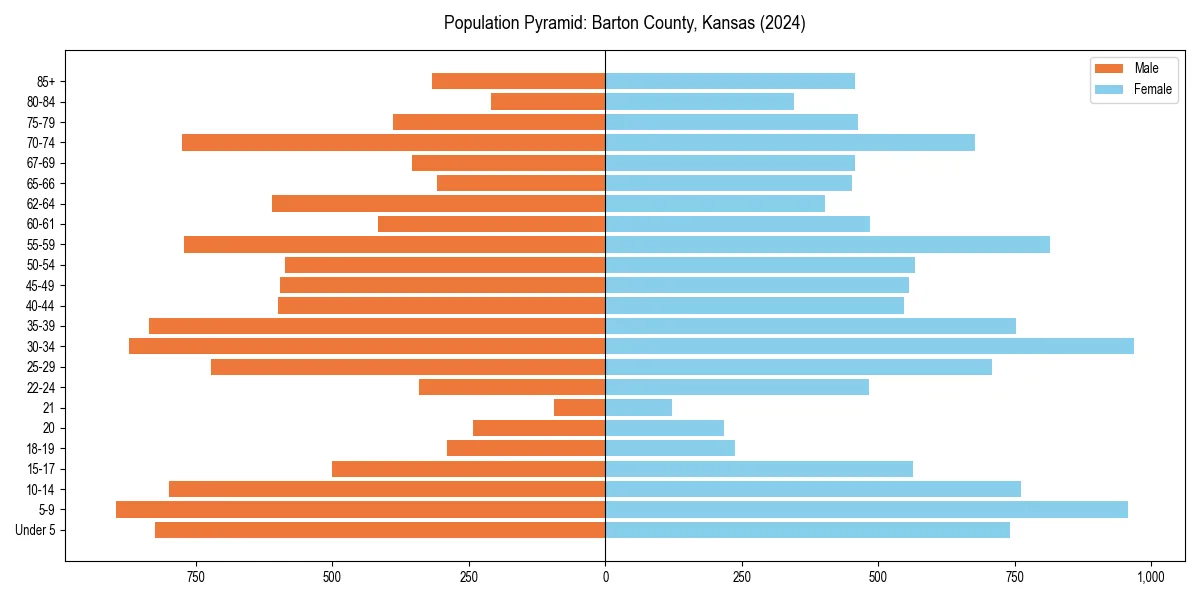 Population pyramid for 