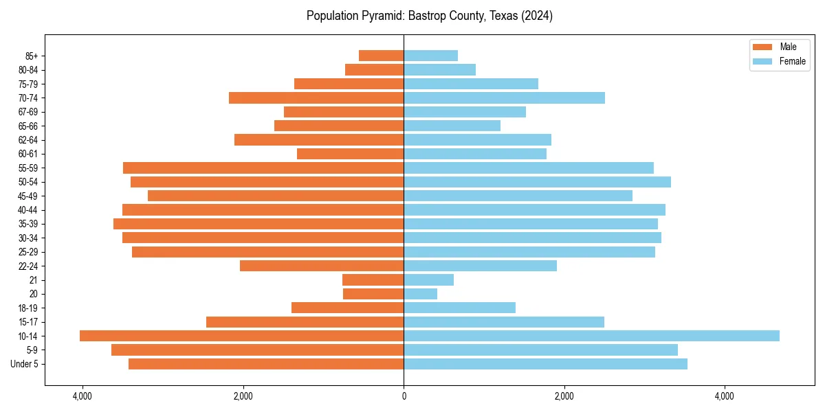 Population pyramid for 