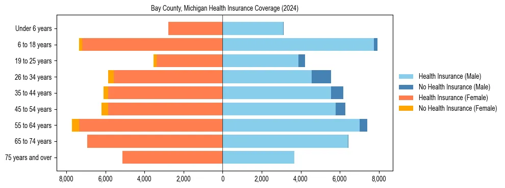 Health insurance pyramid for Bay County, Michigan