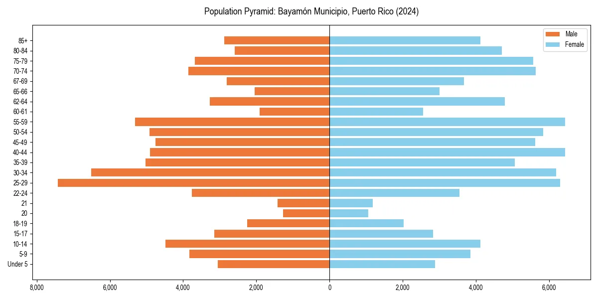 Population pyramid for 