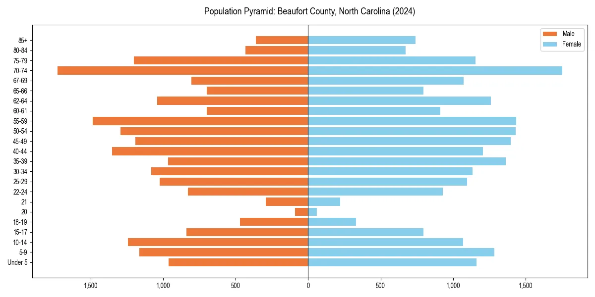 Population pyramid for 