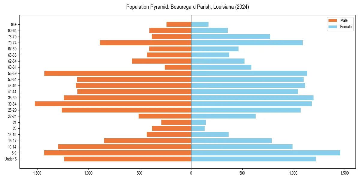 Population pyramid for 