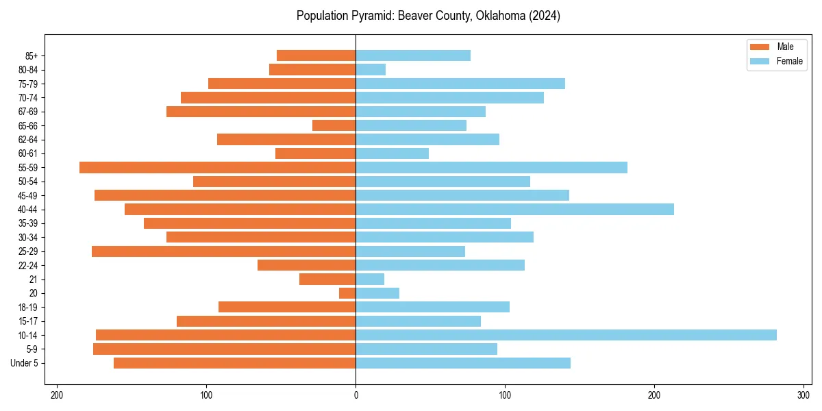 Population pyramid for 