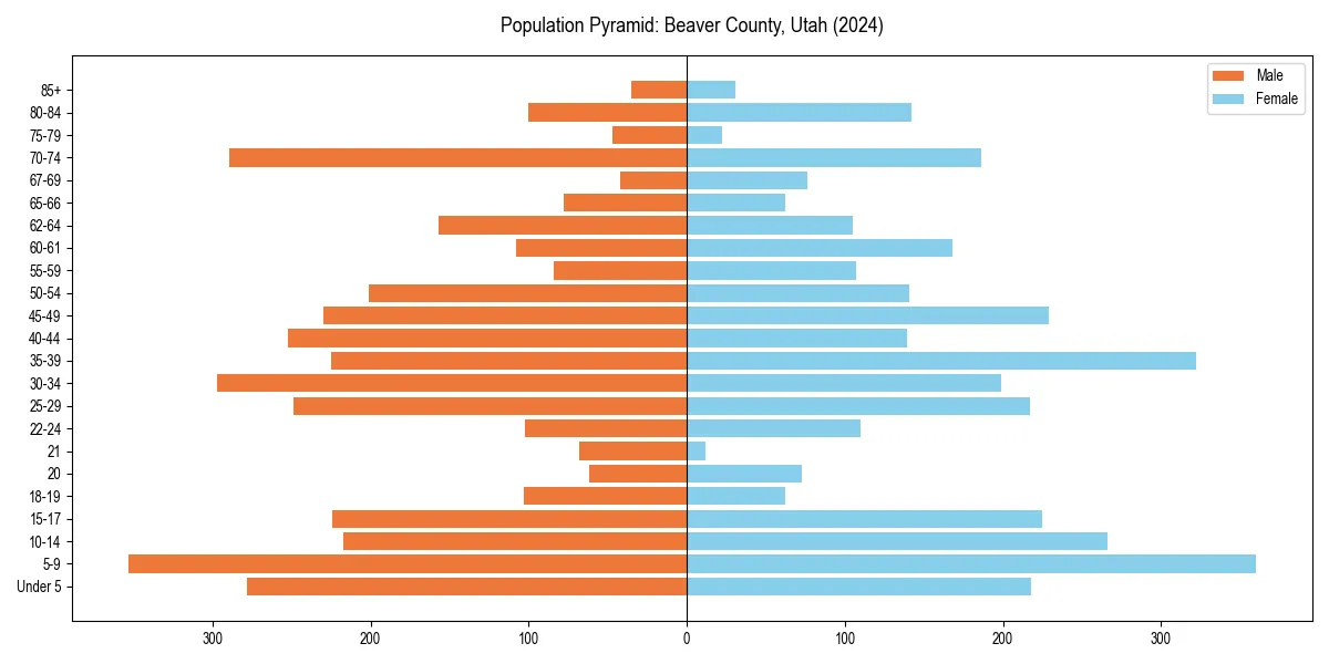 Population pyramid for 
