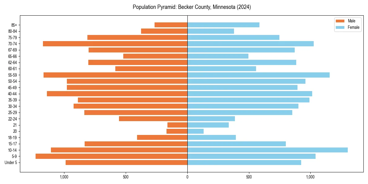 Population pyramid for 
