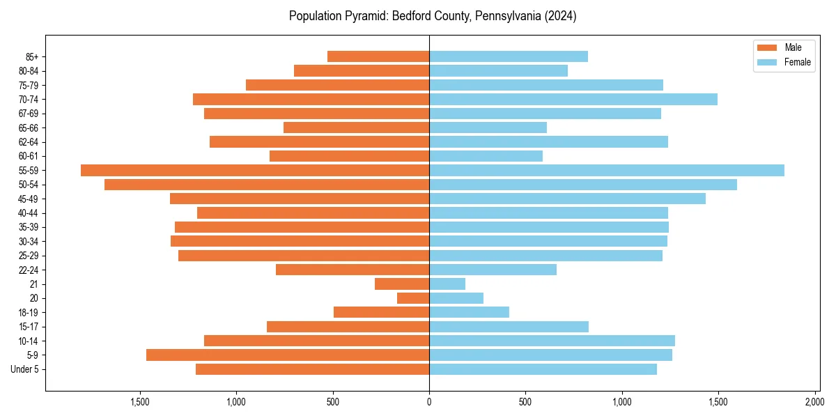 Population pyramid for 