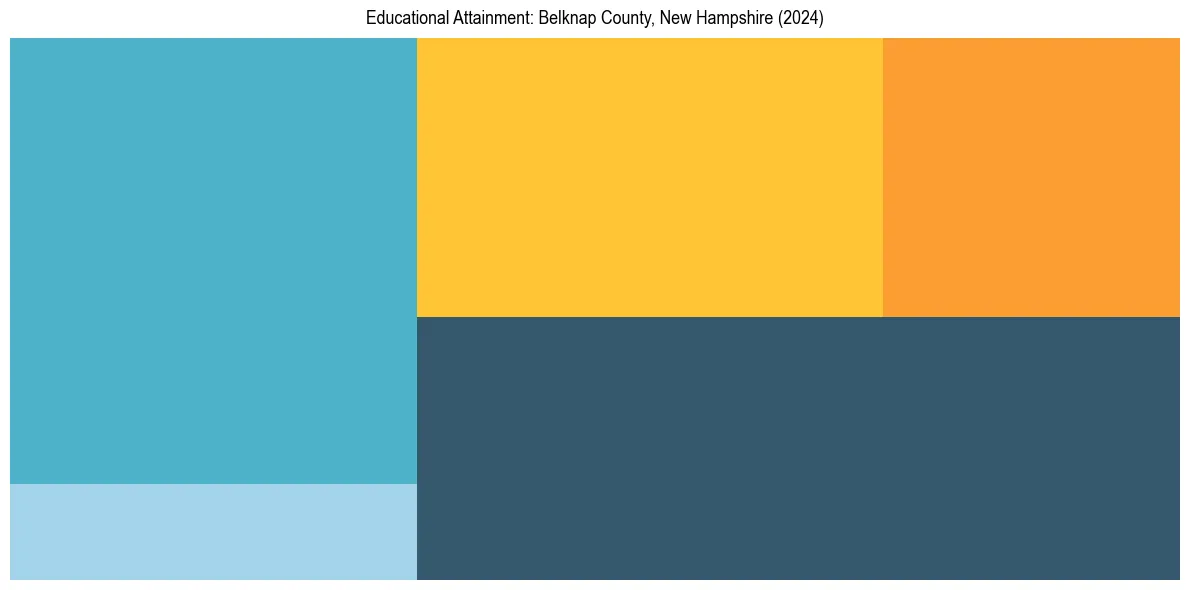 Education Treemap for  in 2024