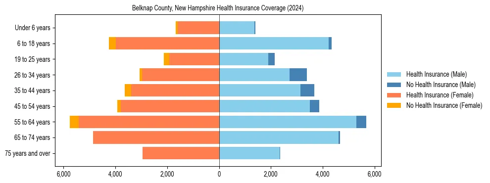 Health insurance pyramid for Belknap County, New Hampshire