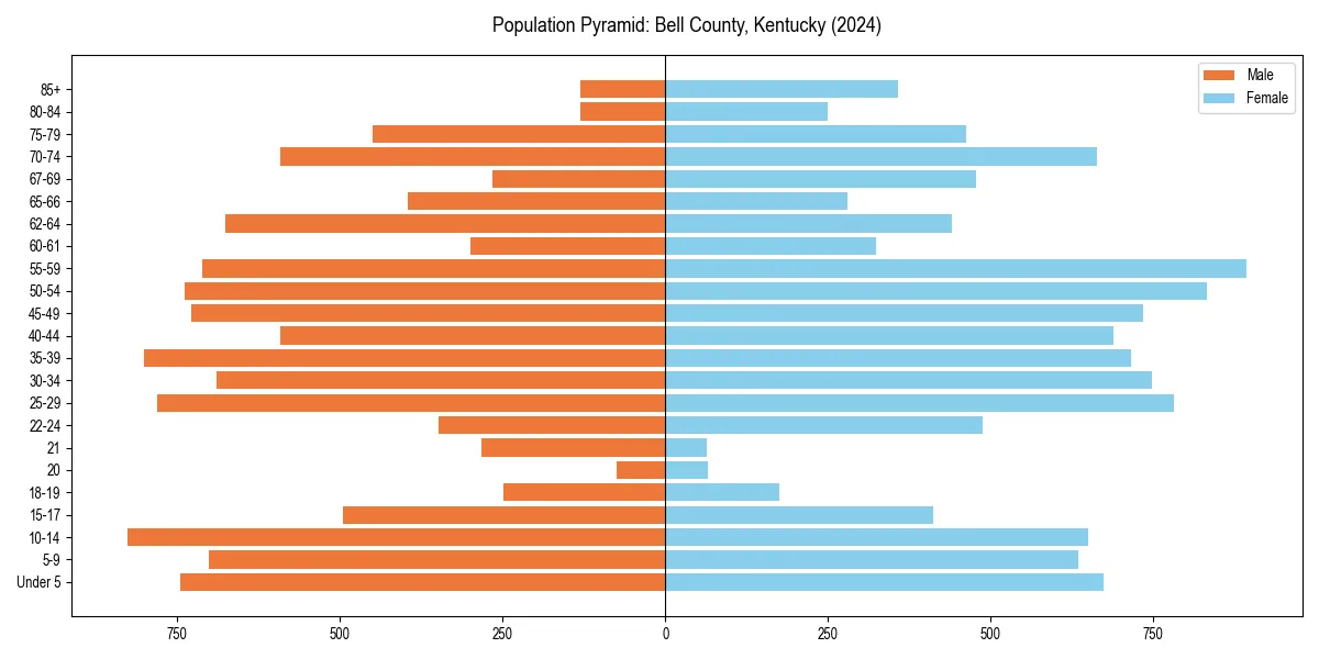 Population pyramid for 