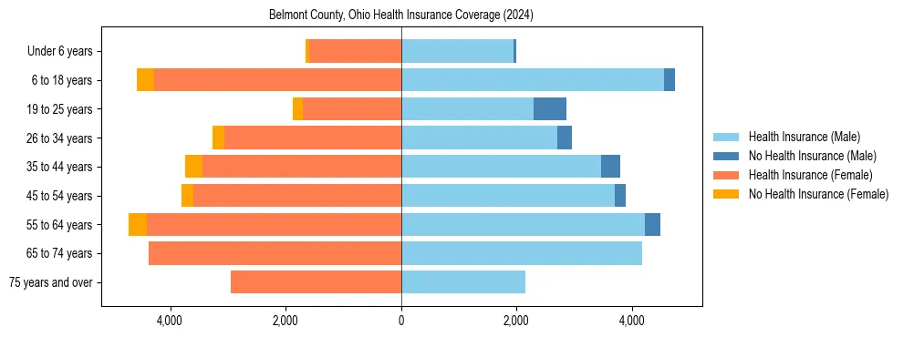 Health insurance pyramid for Belmont County, Ohio
