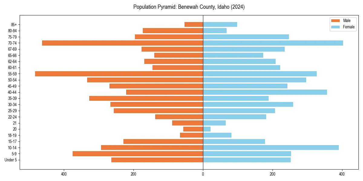 Population pyramid for 