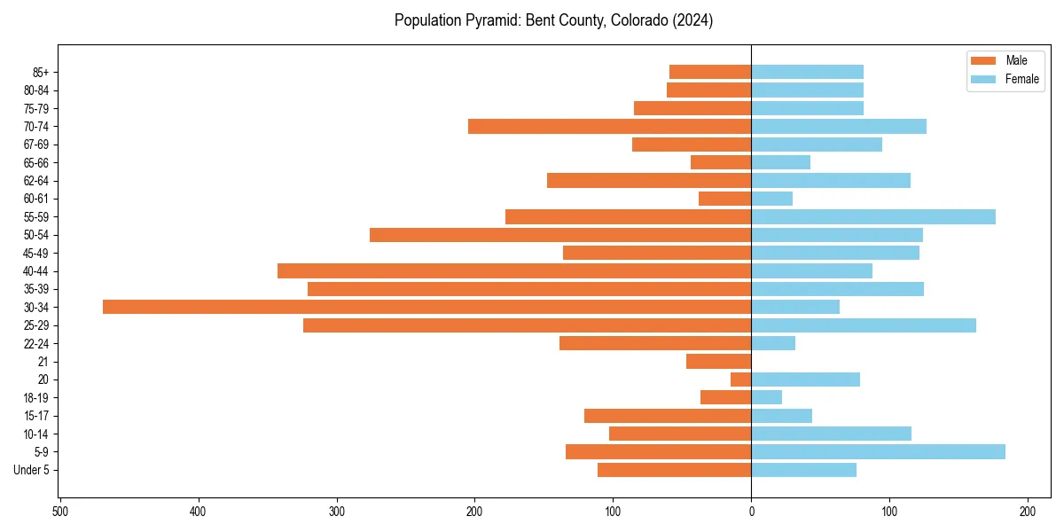 Population pyramid for 