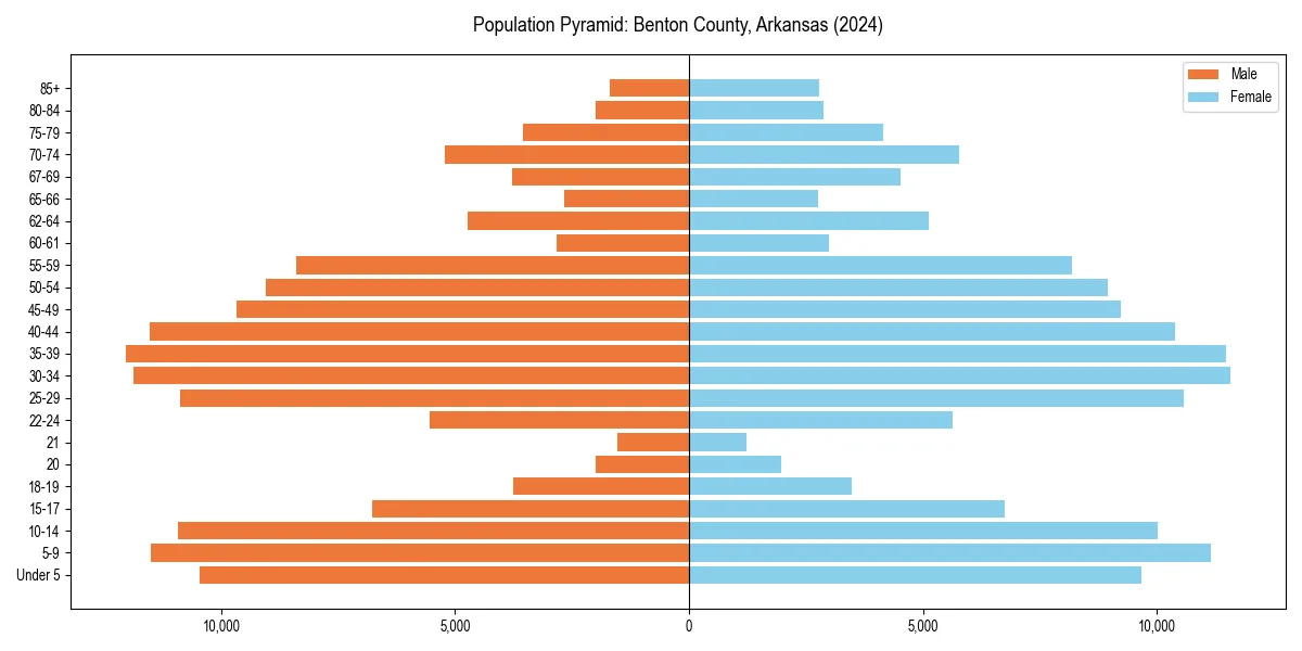 Population pyramid for 
