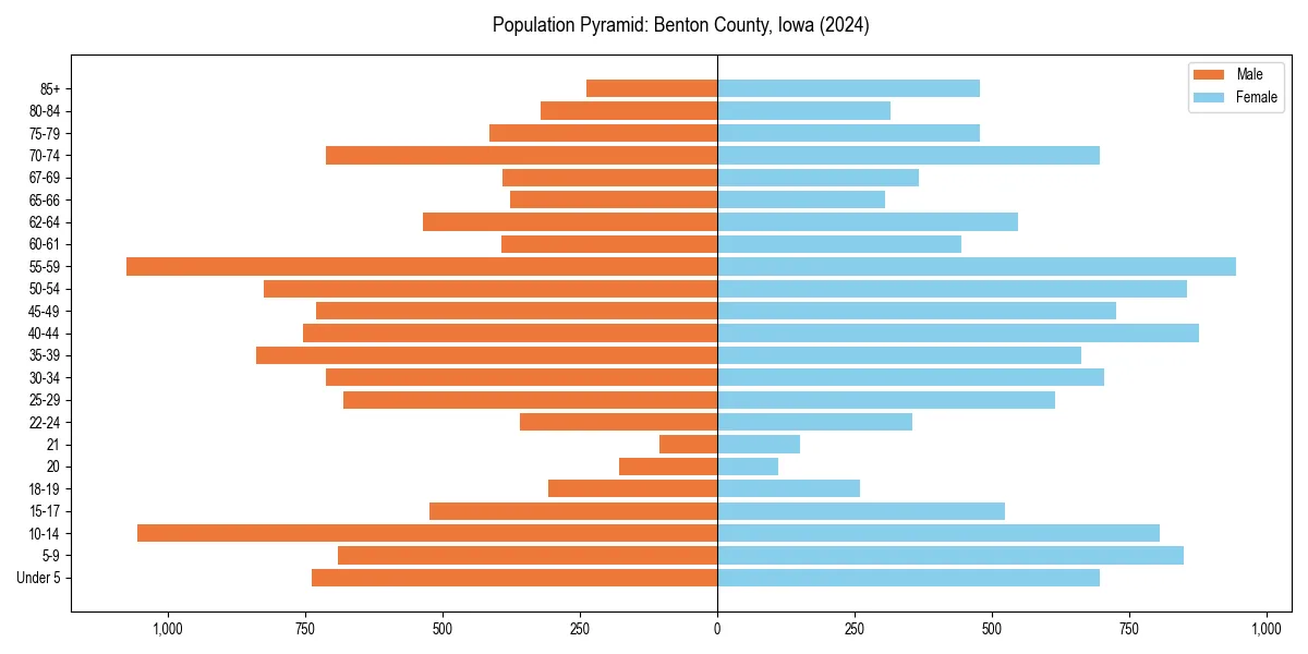 Population pyramid for 