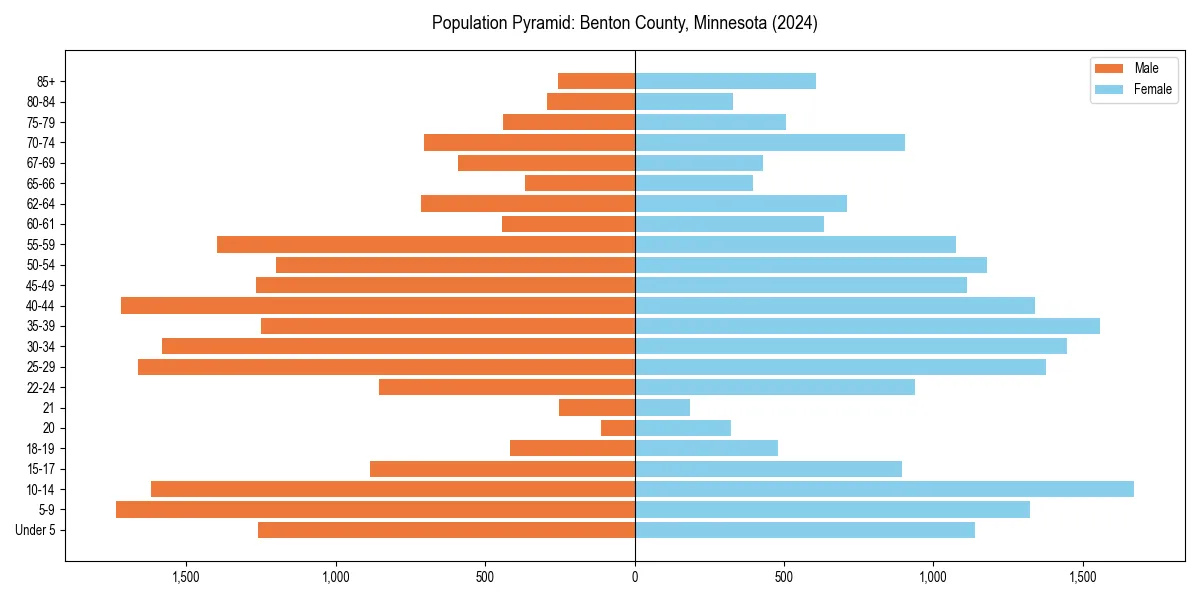 Population pyramid for 