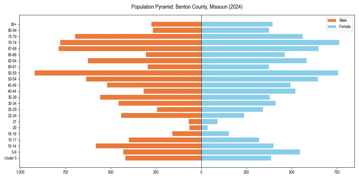 Population pyramid for 