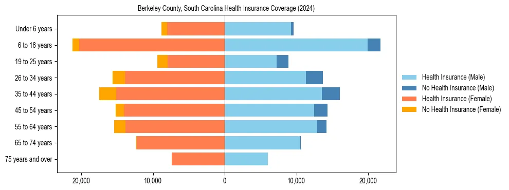 Health insurance pyramid for Berkeley County, South Carolina