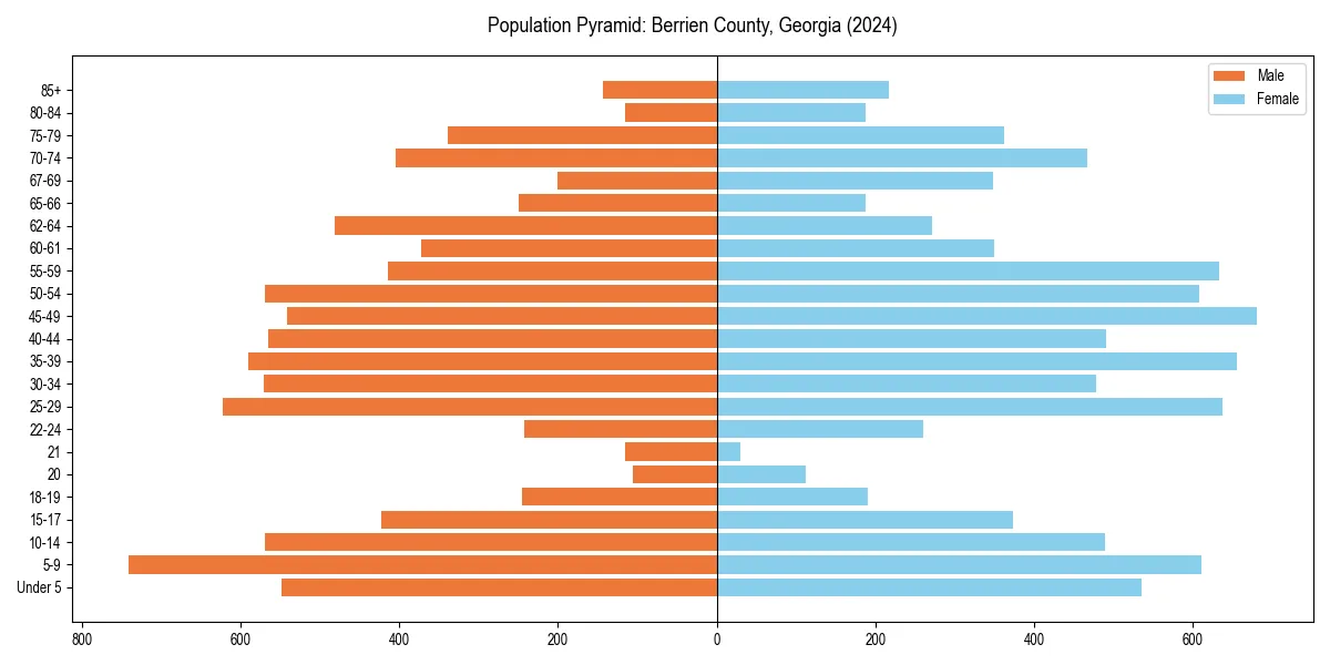 Population pyramid for 