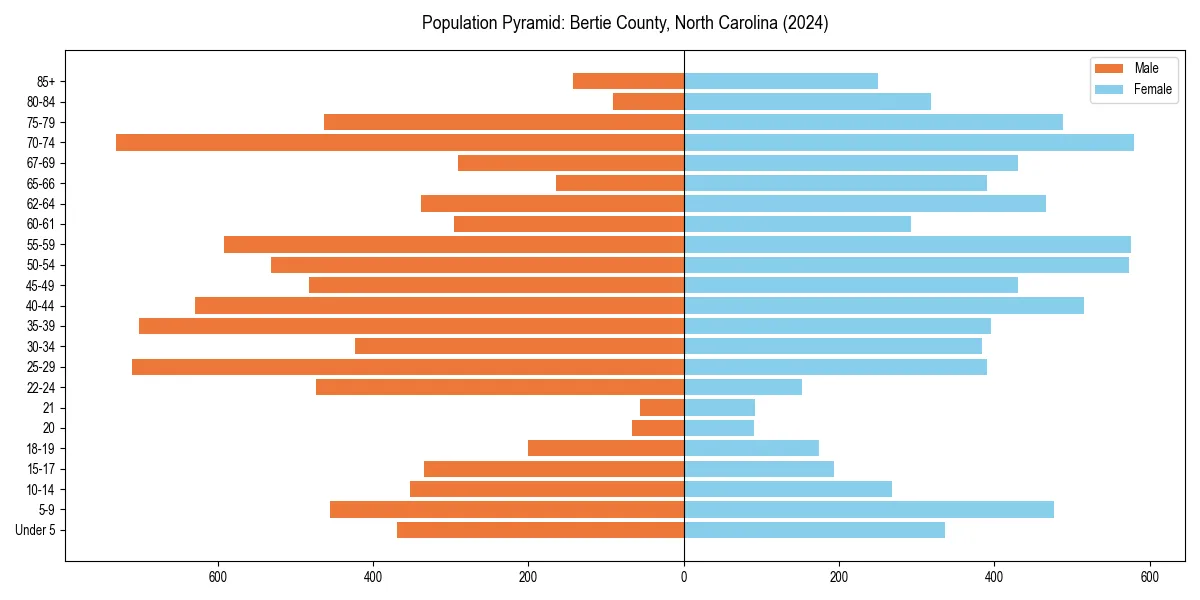 Population pyramid for 