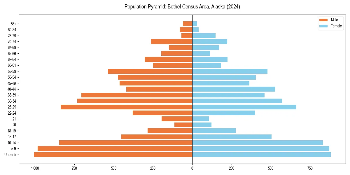 Population pyramid for 
