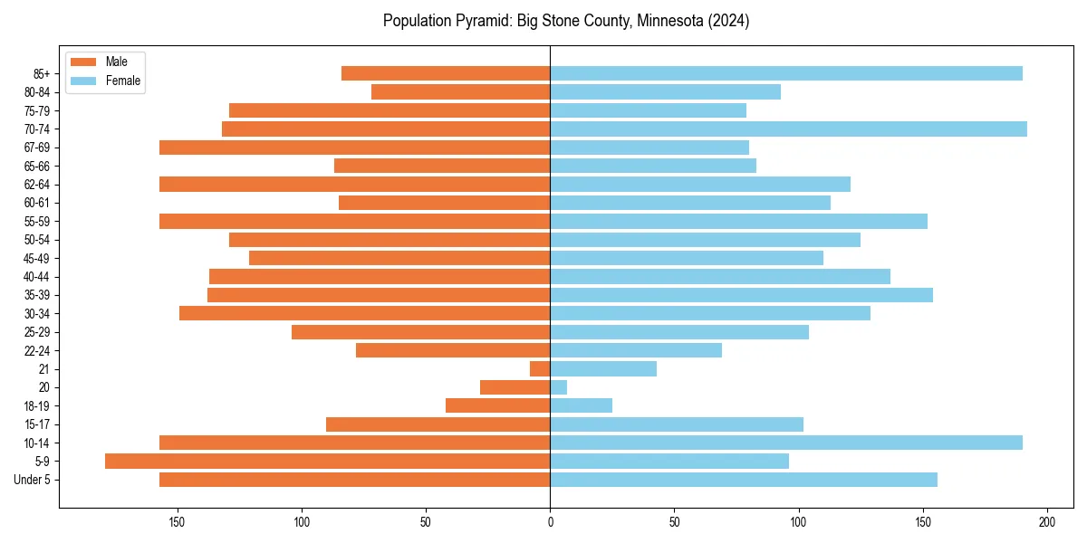 Population pyramid for 