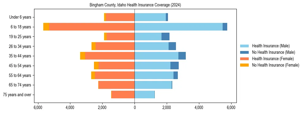 Health insurance pyramid for Bingham County, Idaho