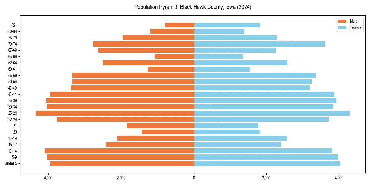 Population pyramid for 