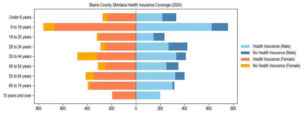 Health insurance pyramid for Blaine County, Montana