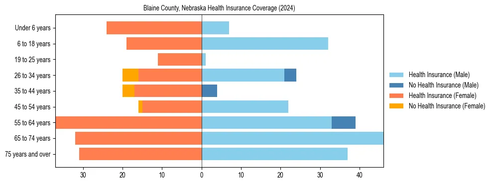 Health insurance pyramid for Blaine County, Nebraska