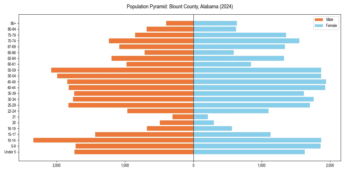 Population pyramid for 