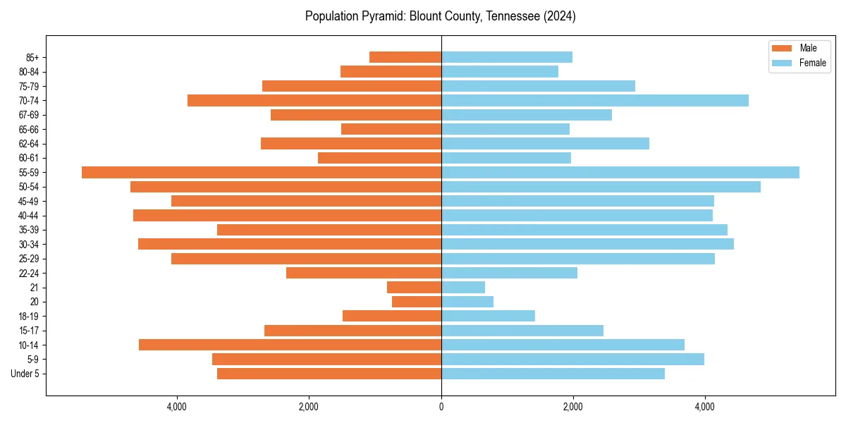 Population pyramid for 