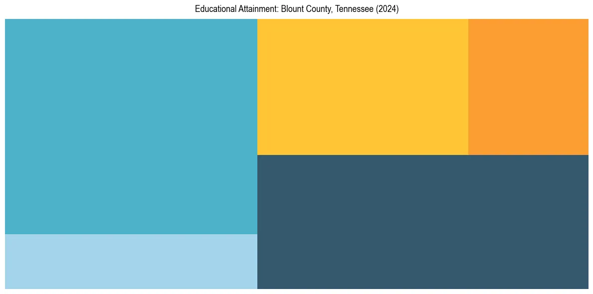 Education Treemap for  in 2024