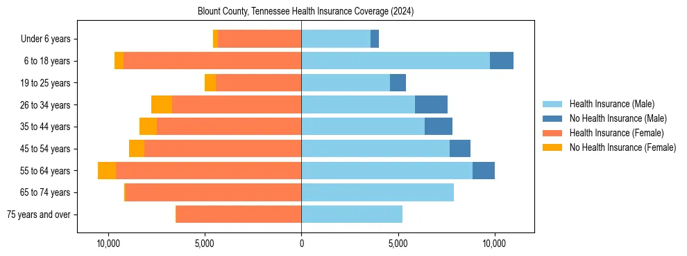 Health insurance pyramid for Blount County, Tennessee