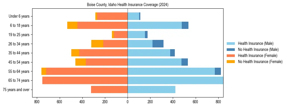 Health insurance pyramid for Boise County, Idaho