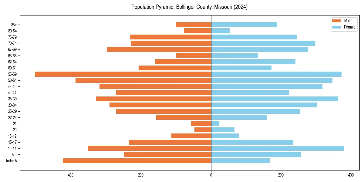 Population pyramid for 