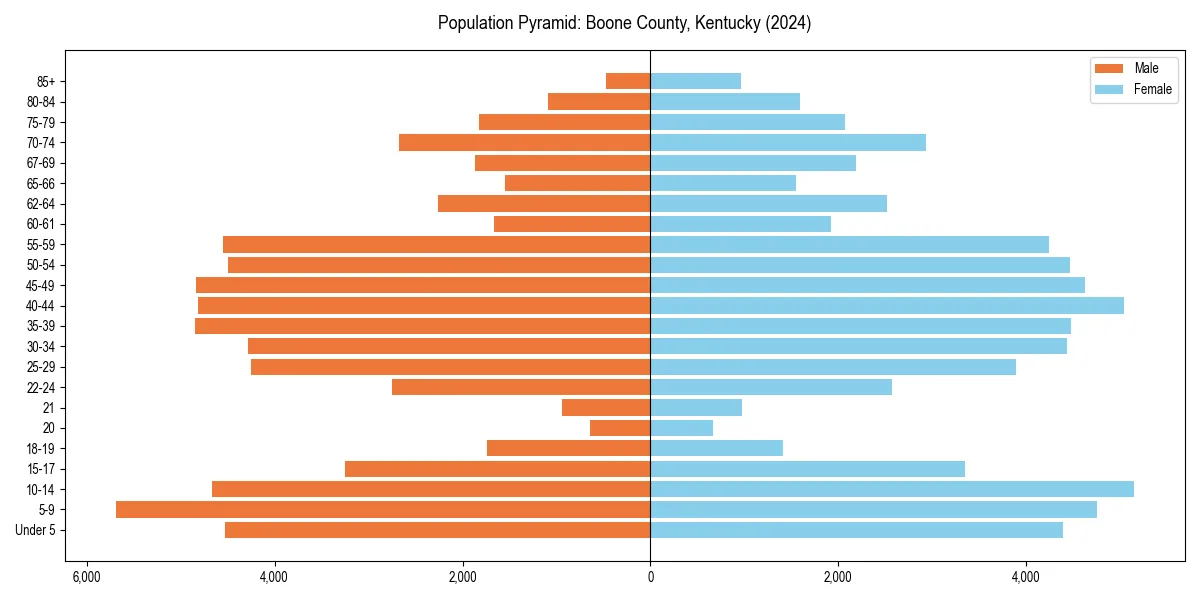 Population pyramid for 