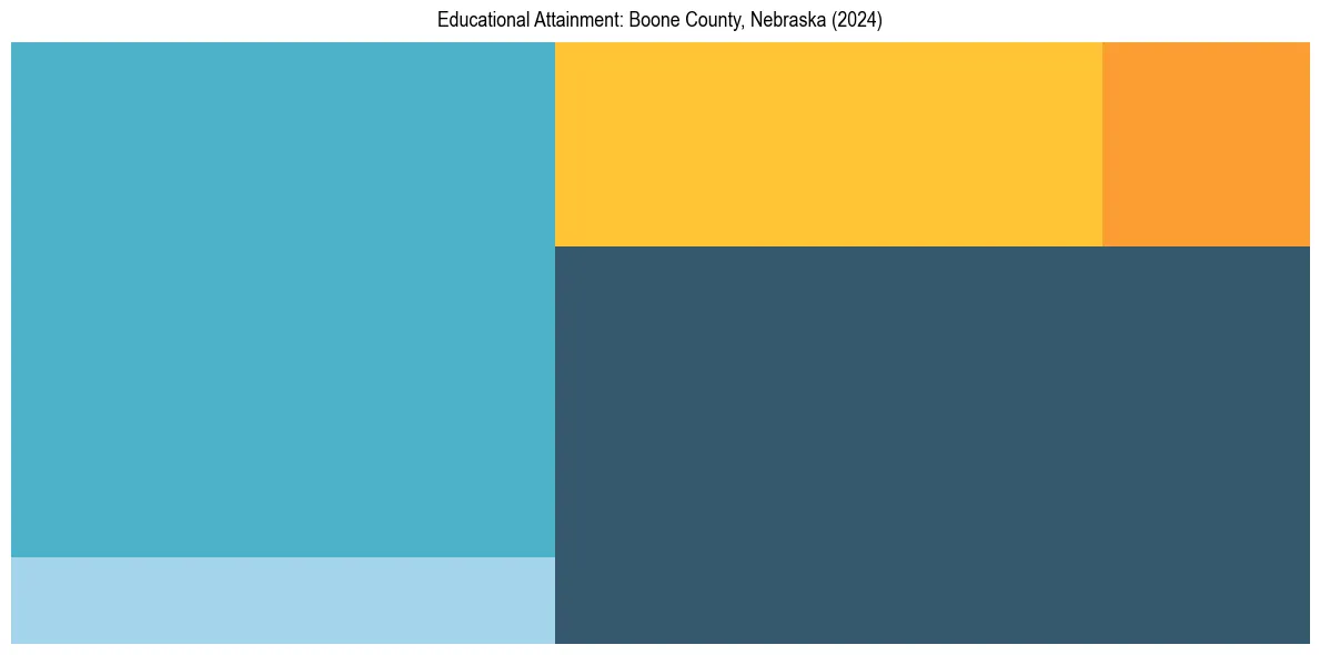 Education Treemap for  in 2024