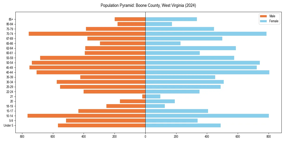 Population pyramid for 