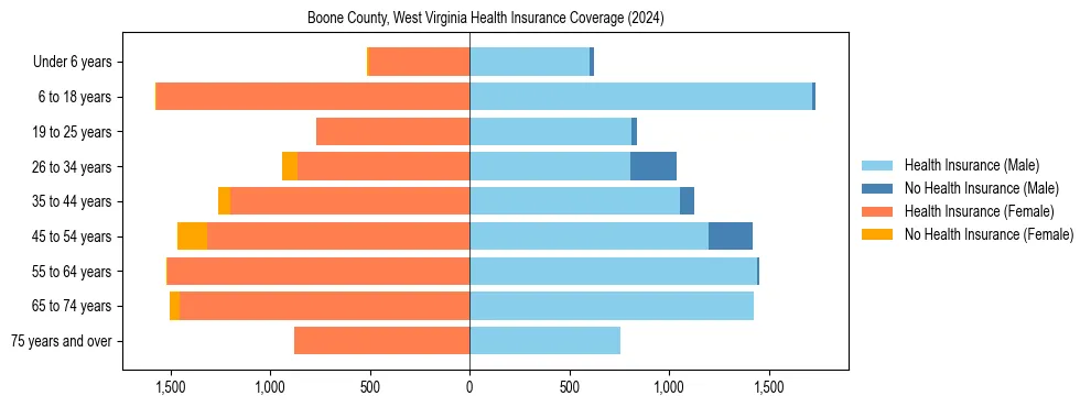 Health insurance pyramid for Boone County, West Virginia