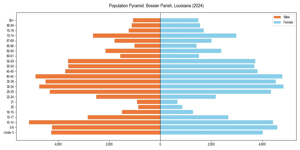 Population pyramid for 