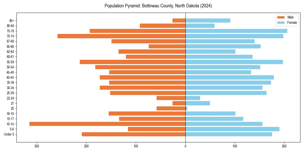 Population pyramid for 