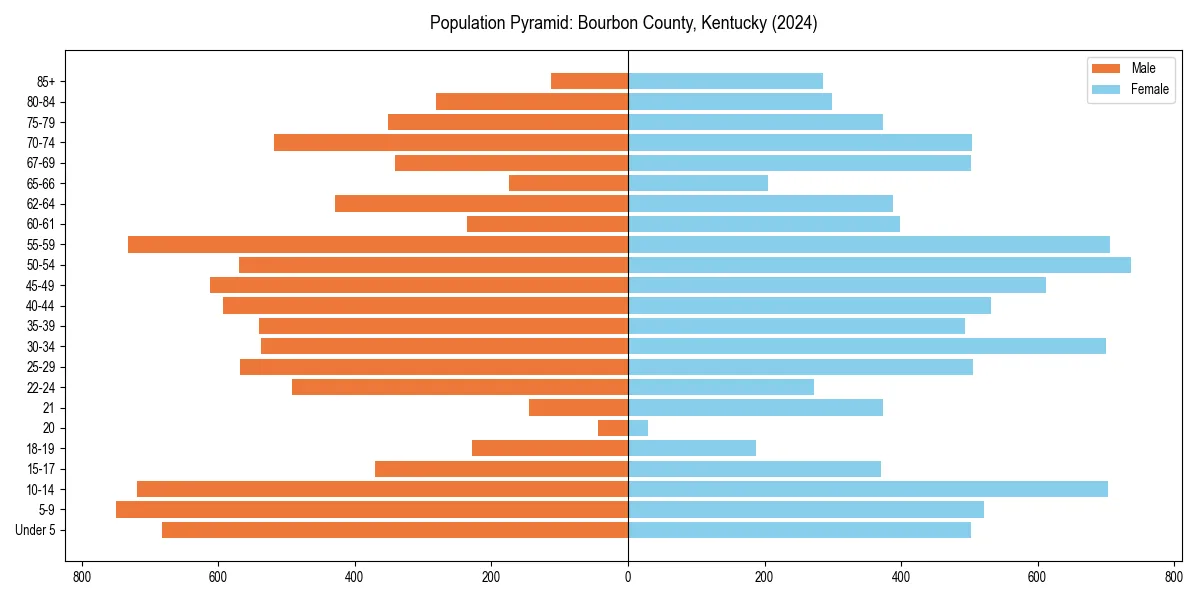 Population pyramid for 