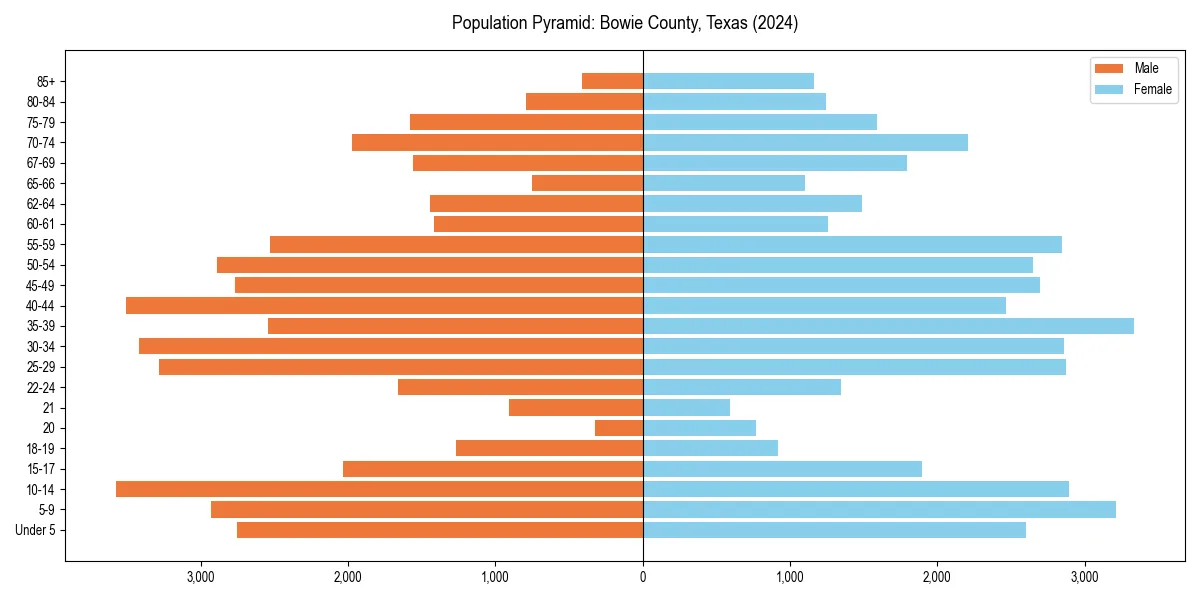 Population pyramid for 
